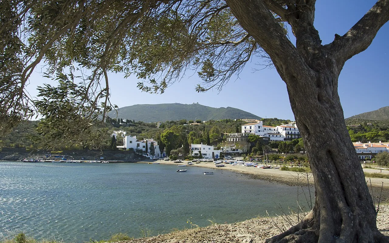An old olive tree framing the cove of Portlligat and its white houses